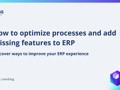 How to optimize processes and add missing features to ERP